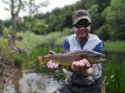 Chalk stream Brown trout, May 2018